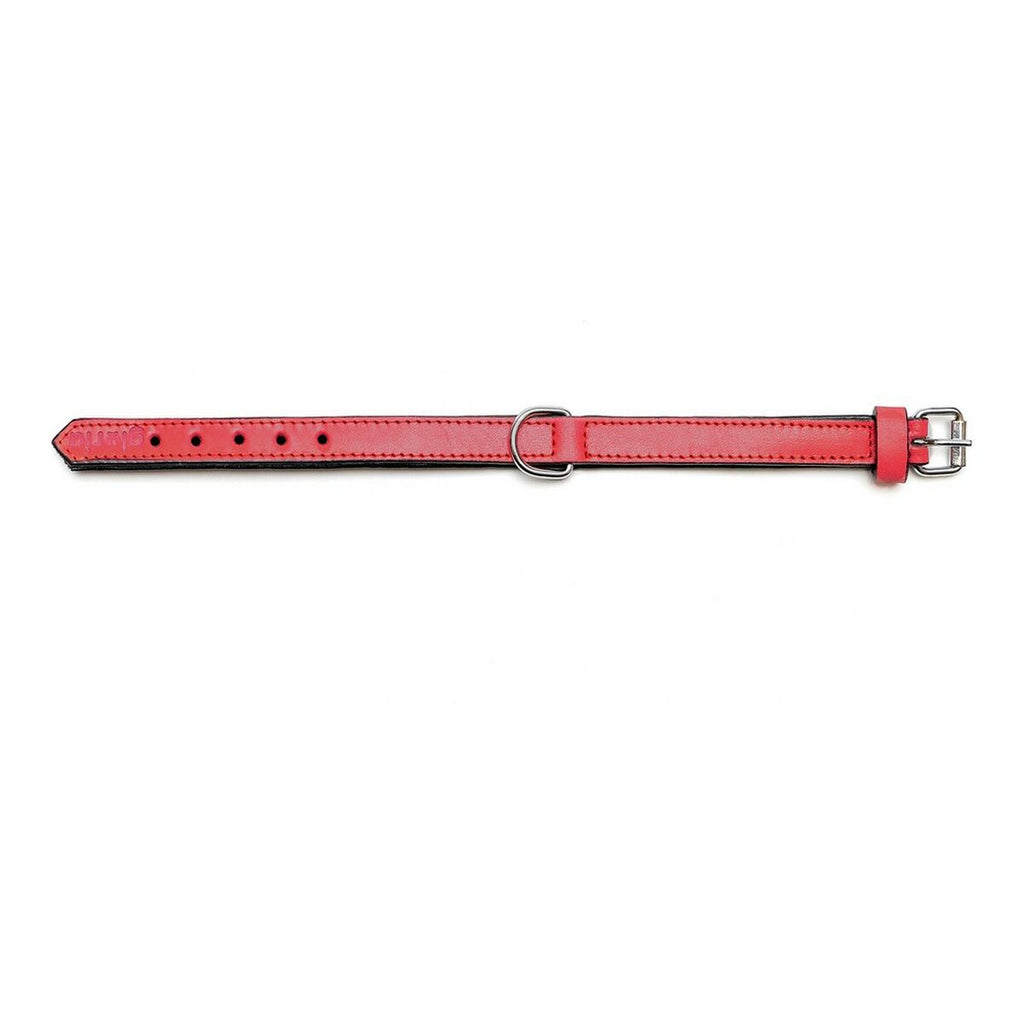 Hundehalsband Gloria Gepolstert Rot (30 x 1,5 cm)