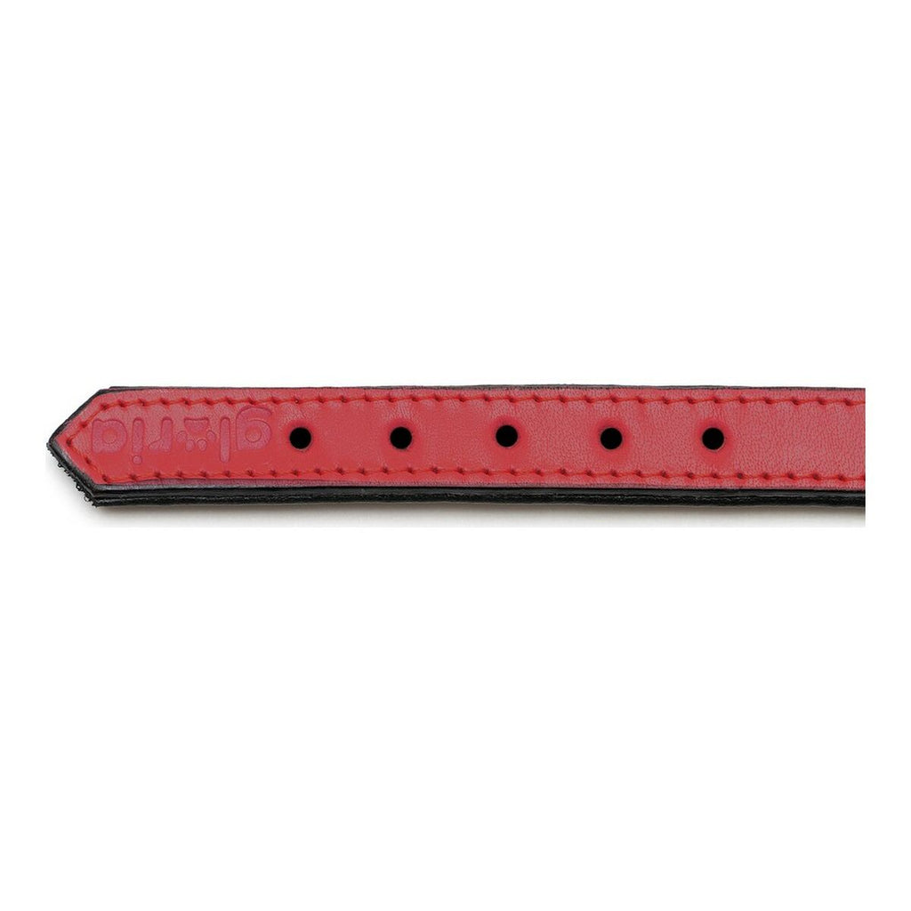 Hundehalsband Gloria Gepolstert Rot (30 x 1,5 cm)