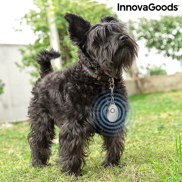 InnovaGoods PetRep wiederaufladbarer Parasitenabwehrer für Haustiere