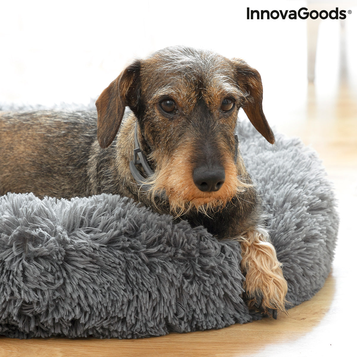 InnovaGoods Bepess Kuscheliges Haustierbett – Ø 60 cm, Grau