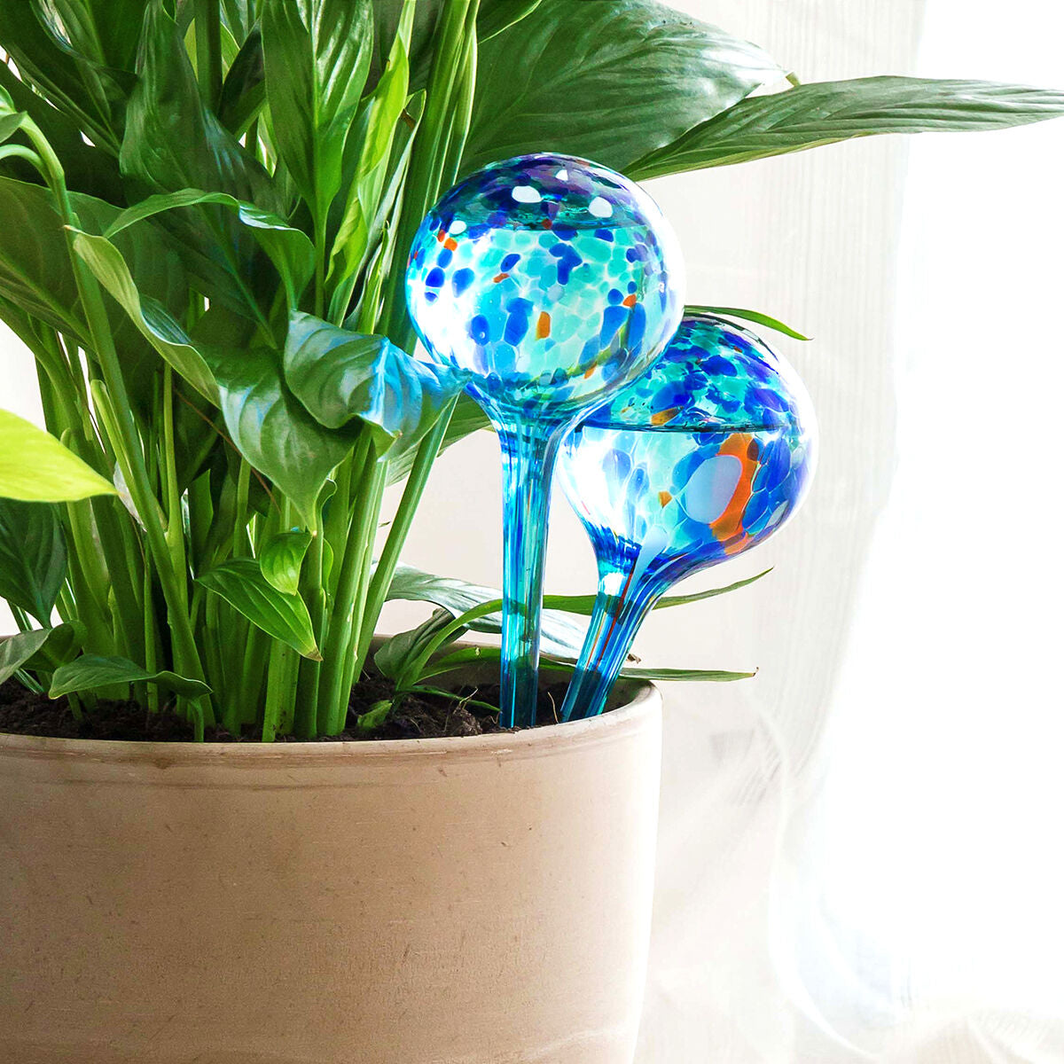InnovaGoods Aqua·Loon Bewässerungskugeln aus Glas – 2 × 350 ml