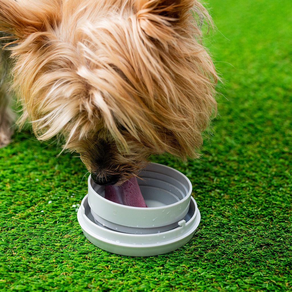 InnovaGoods Leashic 6-in-1-Rollleine – 4 m, für Hunde bis 35 kg